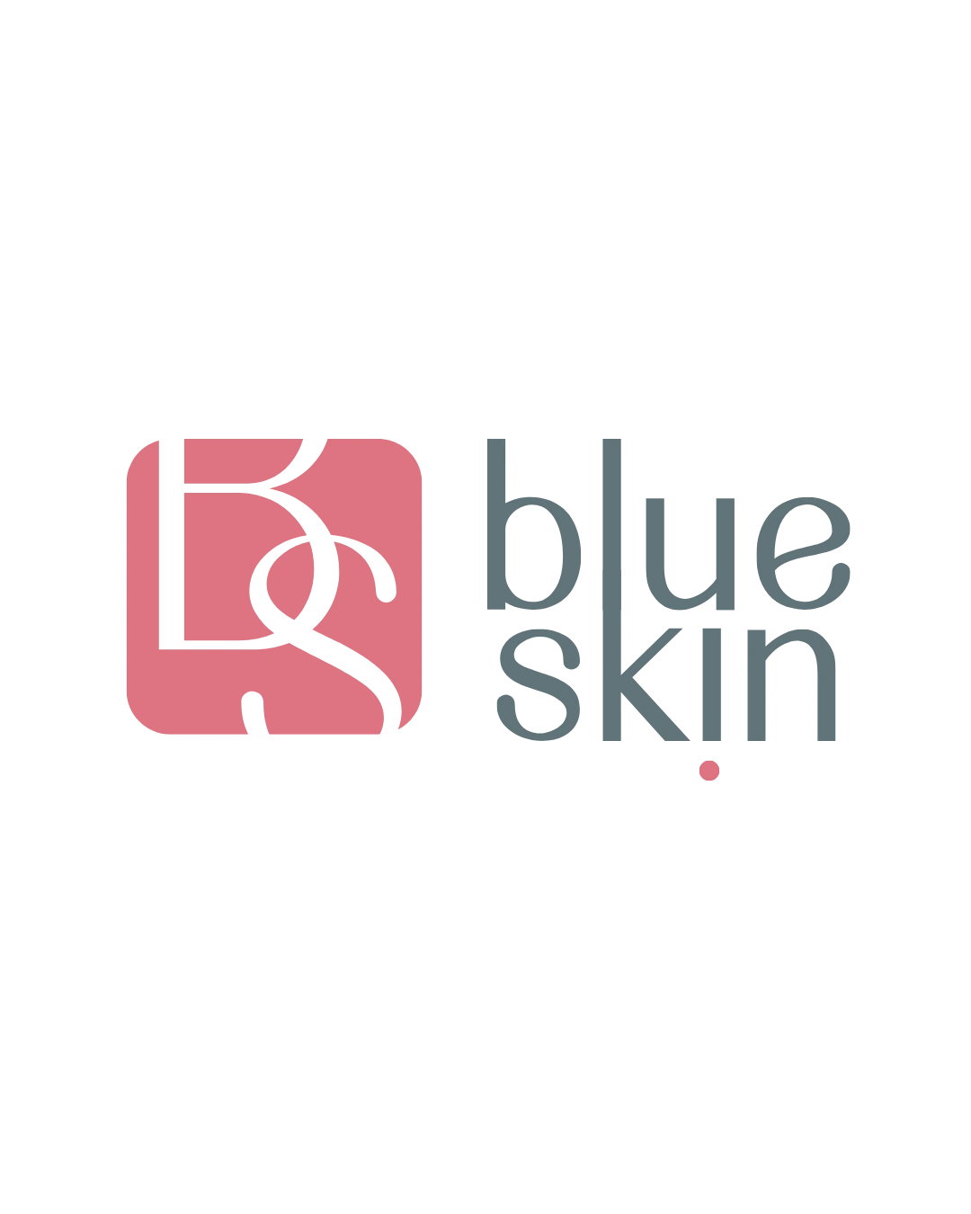 Logo Blueskin
